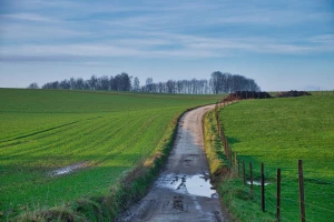 Wykorzystanie fotografii i moodboardów referencyjnych: prawa autorskie i sourcing materiałów